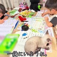 2人の子どもと子猫