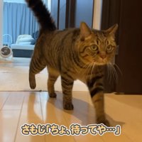 ちょ、待ってや…