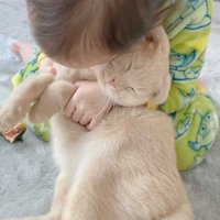 猫を抱きしめる女の子