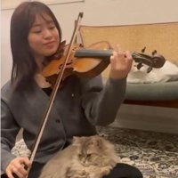 バイオリンを弾いている人と聴いている猫たち