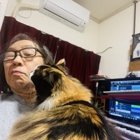 人の顔にスリスリする猫