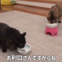 ごはん