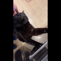 目を瞑ったお顔