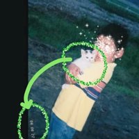 抱っこされる子猫