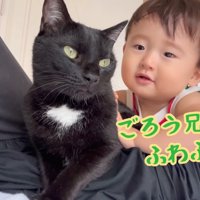 ごろう兄ちゃんふわふわ