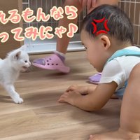 触れるもんなら