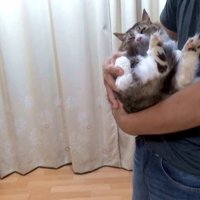 横抱き
