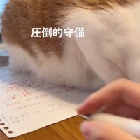 宿題に手を伸ばす