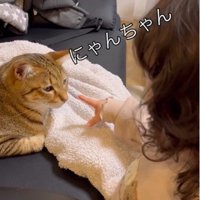 ソファに座っている猫と猫を指さしている子ども
