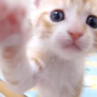 むっちゃんのドアップ