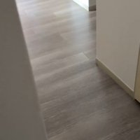 追いかけてきた猫から逃げるため、壁の陰に隠れる飼い主
