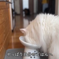 テロップ「やっぱり自分の～」