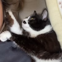 顔の横