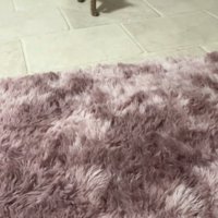 ボールをくわえて歩く猫