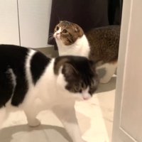洗面所