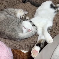 一緒に眠るふたり