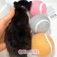 3つのボールの隣に横たわる子猫