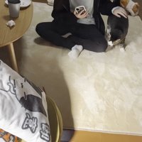 別室の様子（あぐらをかいた人物と猫ちゃん）