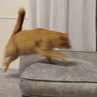 左からジャンプ