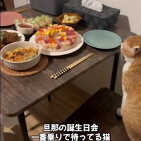 料理が並べられたテーブル