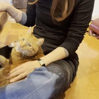 こちらを向いた姿