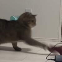 横からパンチ
