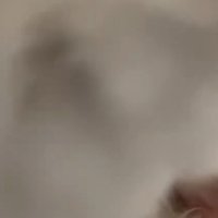 画面が真っ暗になっている写真