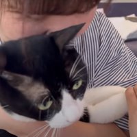 猫の様子