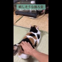 嬉しそうな後ろ姿