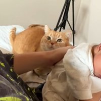 赤ちゃんの後ろに