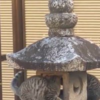 灯籠の隙間から向こう側の猫を見つめる猫
