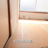 テロップ「手伝う小太郎」