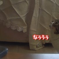 なううう
