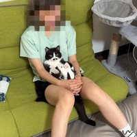 膝抱っこ(少し上から)