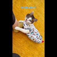 もうおしまい？