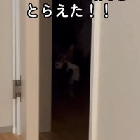 ドアの奥から顔をのぞかせるメルくん
