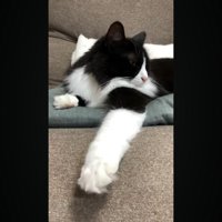 横を向いた姿