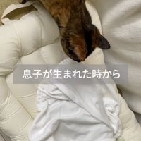 眠っている赤ちゃんを見つめる猫