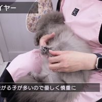 ドライヤー