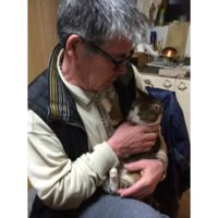 抱かれている猫