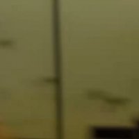 周囲を見まわす飼い主