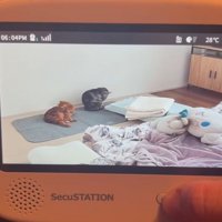 ベビーモニターに映る猫2
