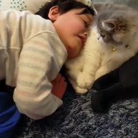 猫にくっつく男の子