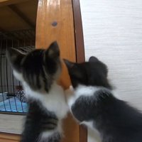 柱