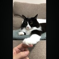 目を細めた表情