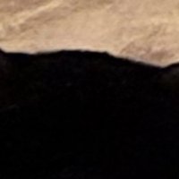 後ろへ傾けた耳のアップ