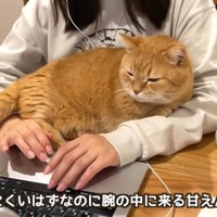 テロップ「絶対寝にくいはずなのに～」