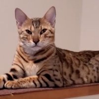 ちょっとだけ長さが戻った？