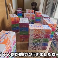 きゅうちゃんを助けに行くじゅんちゃん