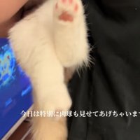 「今日は特別に...」のテロップ写真1